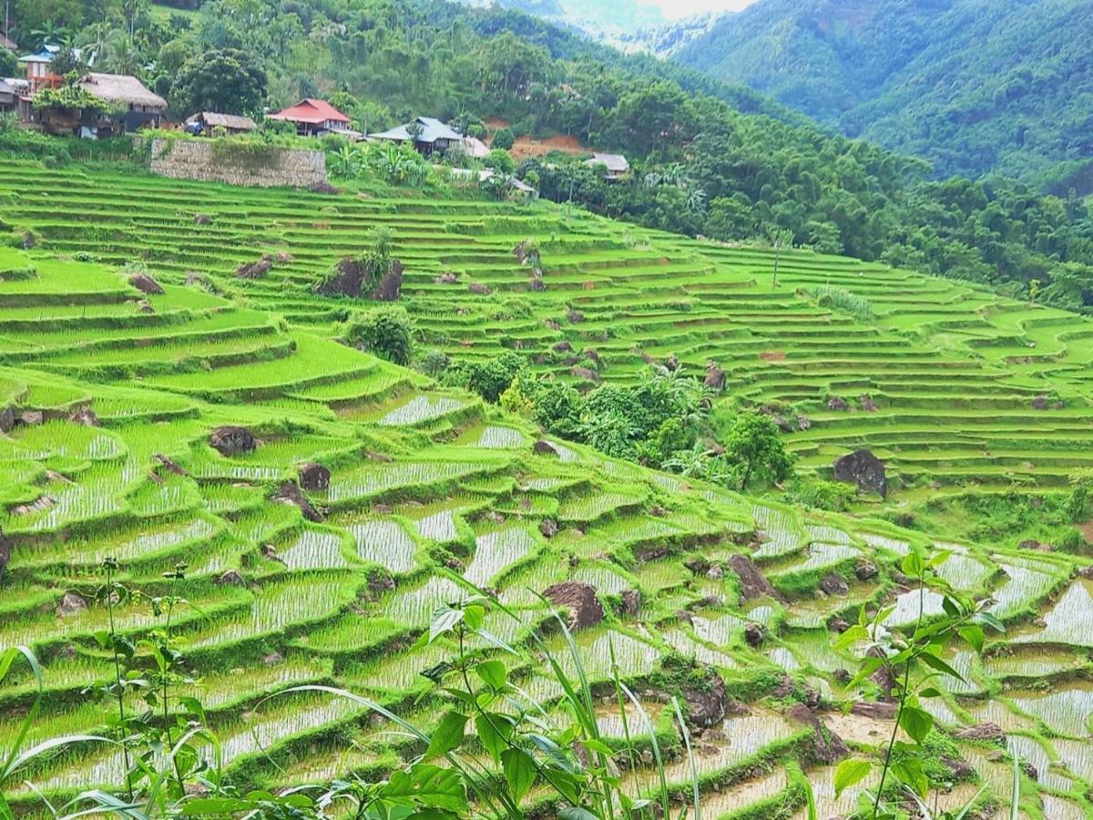 Nha Tan - Mai Chau Homestay And Tours Εξωτερικό φωτογραφία