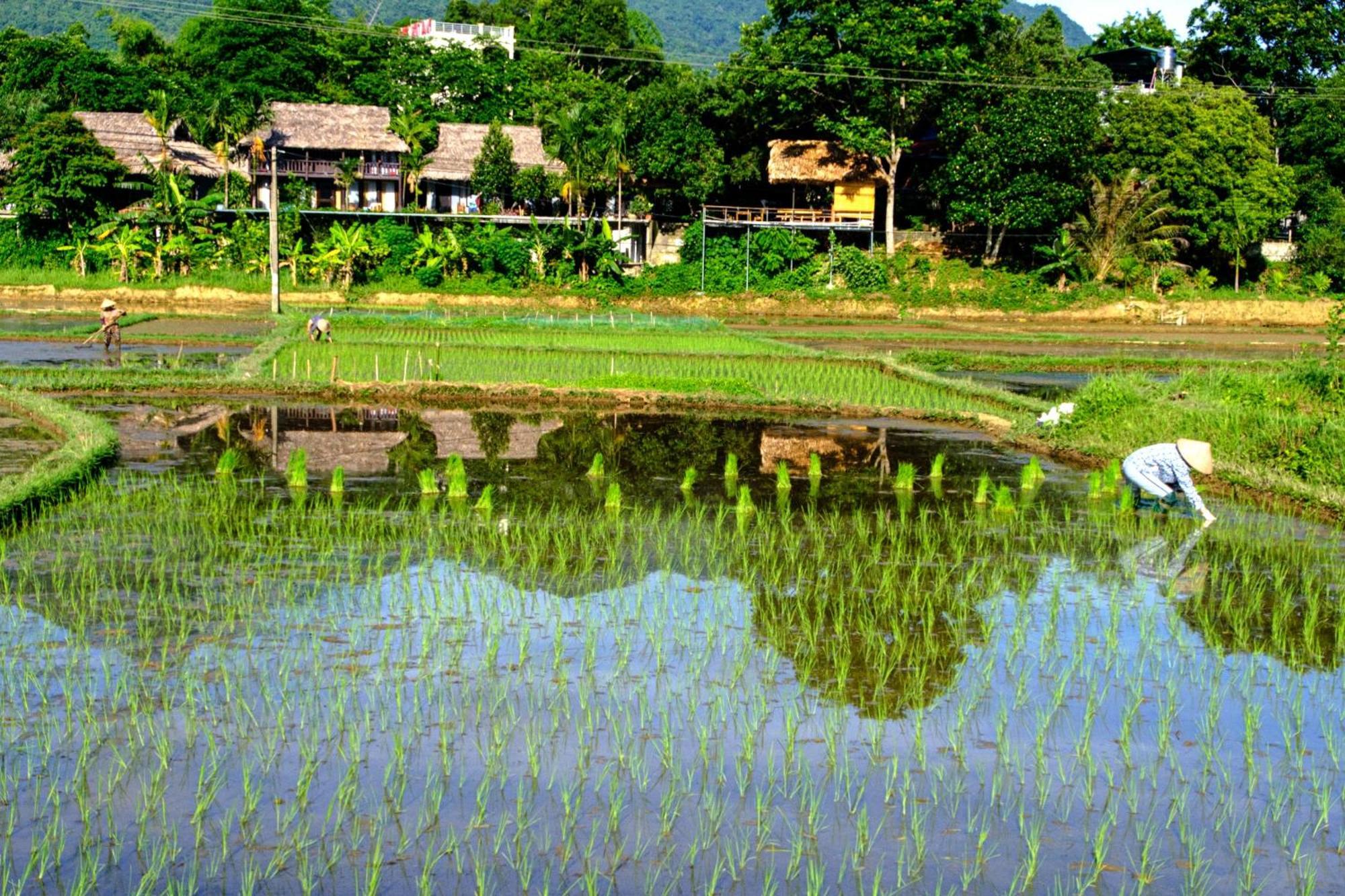 Nha Tan - Mai Chau Homestay And Tours Εξωτερικό φωτογραφία