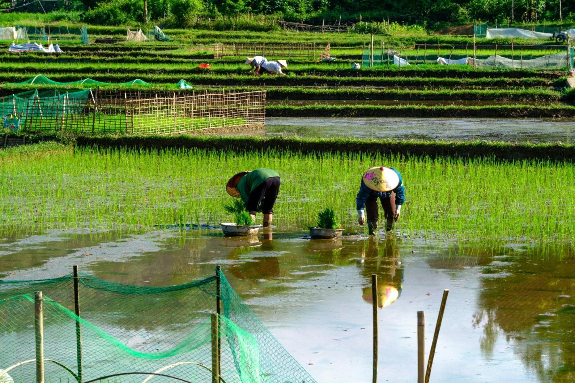 Nha Tan - Mai Chau Homestay And Tours Εξωτερικό φωτογραφία